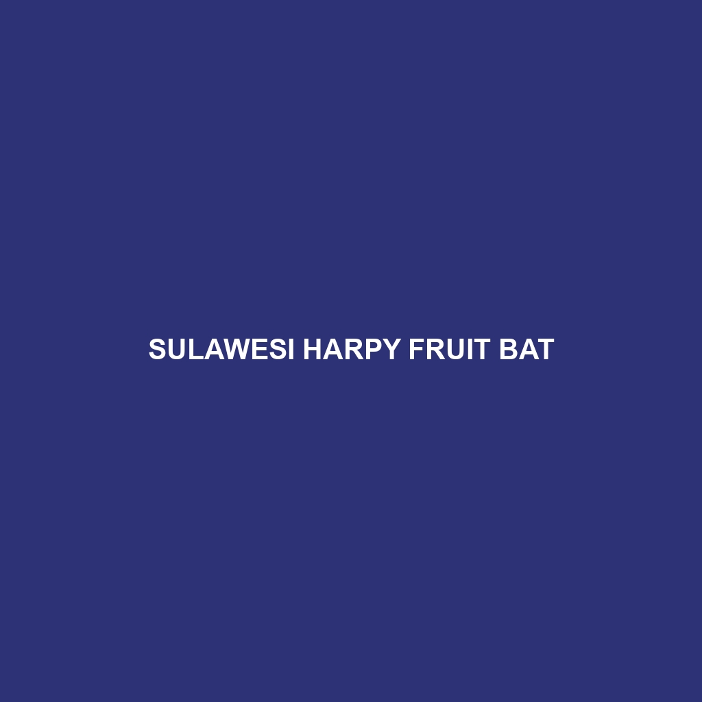 Sulawesi Harpy Fruit Bat