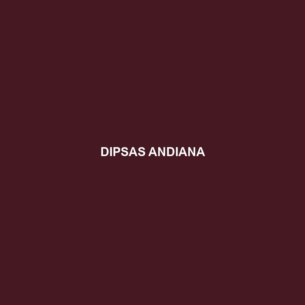 Dipsas andiana