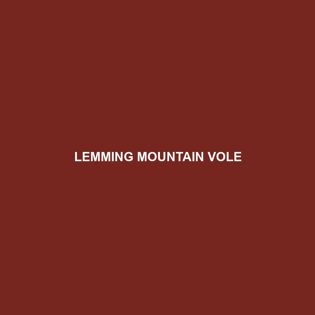 Lemming Mountain Vole