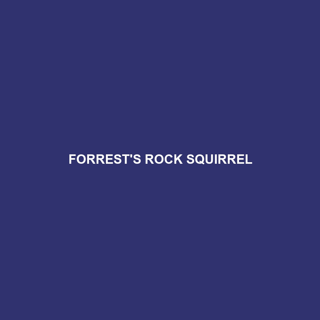 Forrest's Rock Squirrel