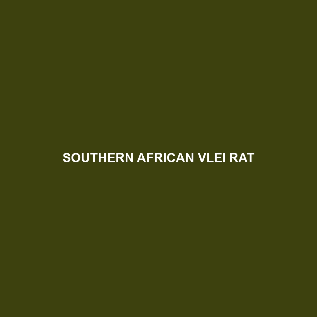 Southern African Vlei Rat