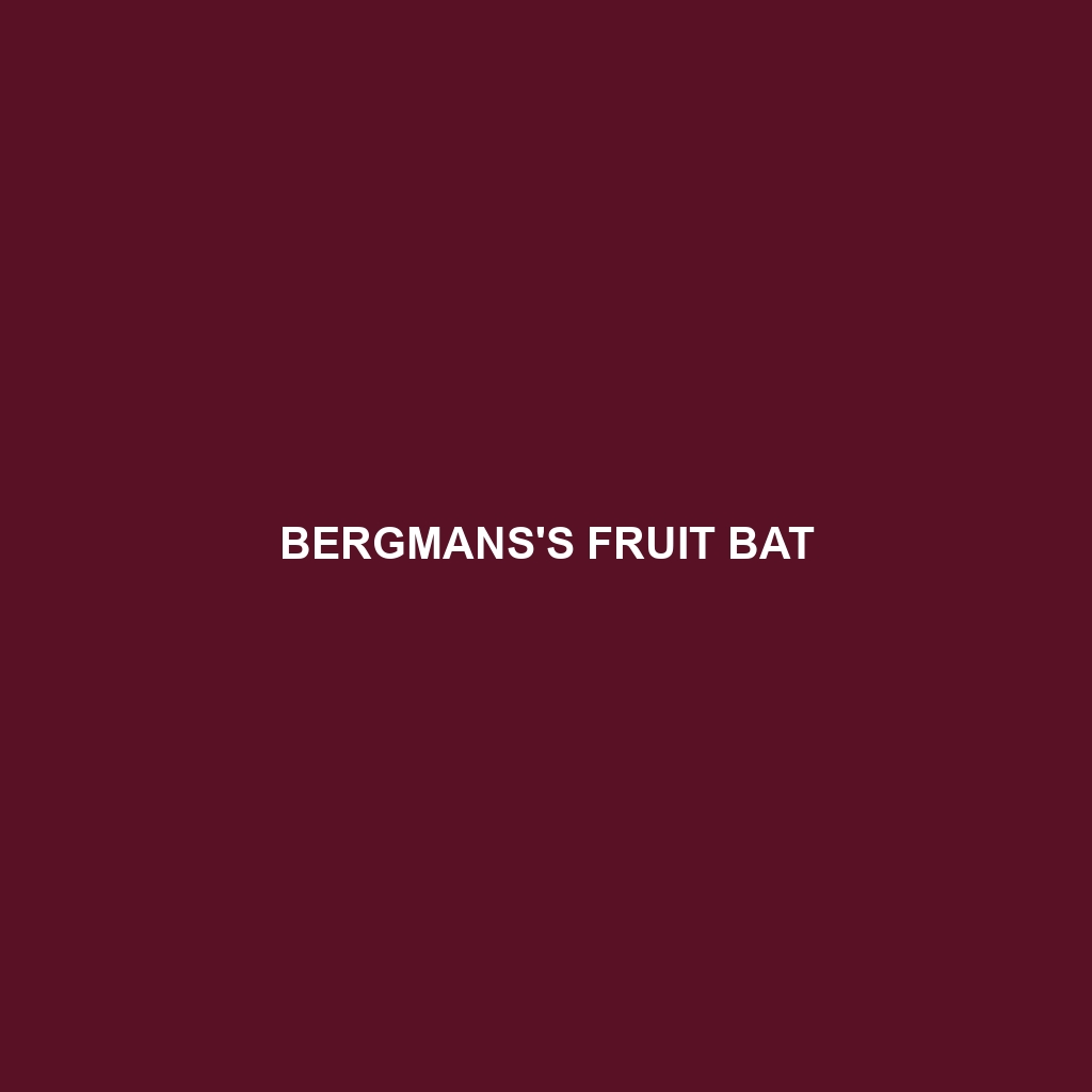 Bergmans's Fruit Bat