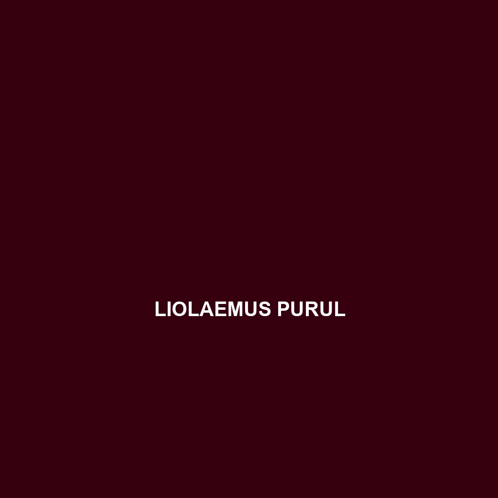 Liolaemus purul