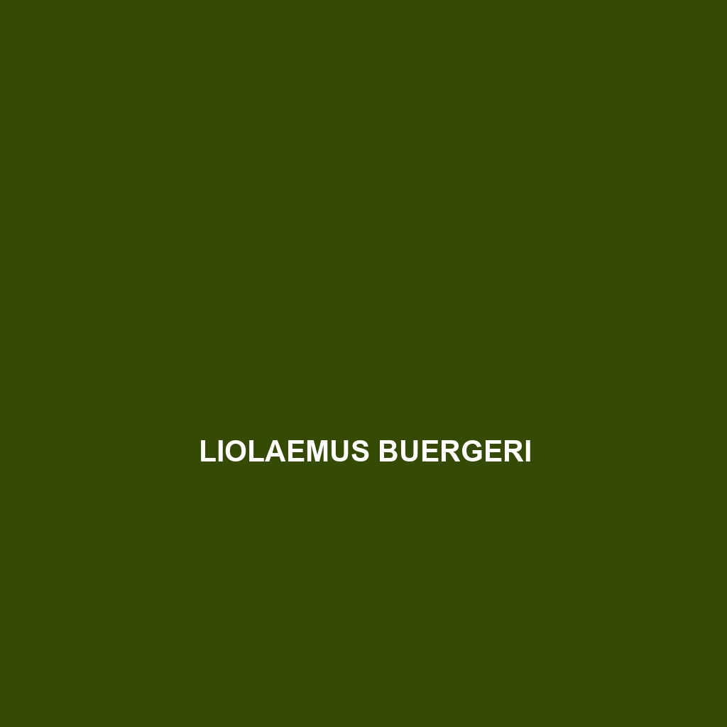 Liolaemus buergeri