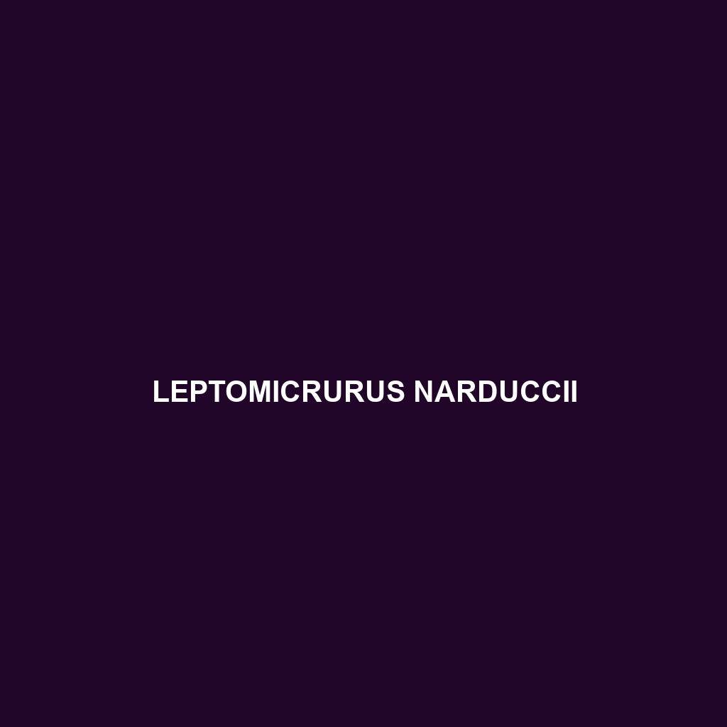 Leptomicrurus narduccii