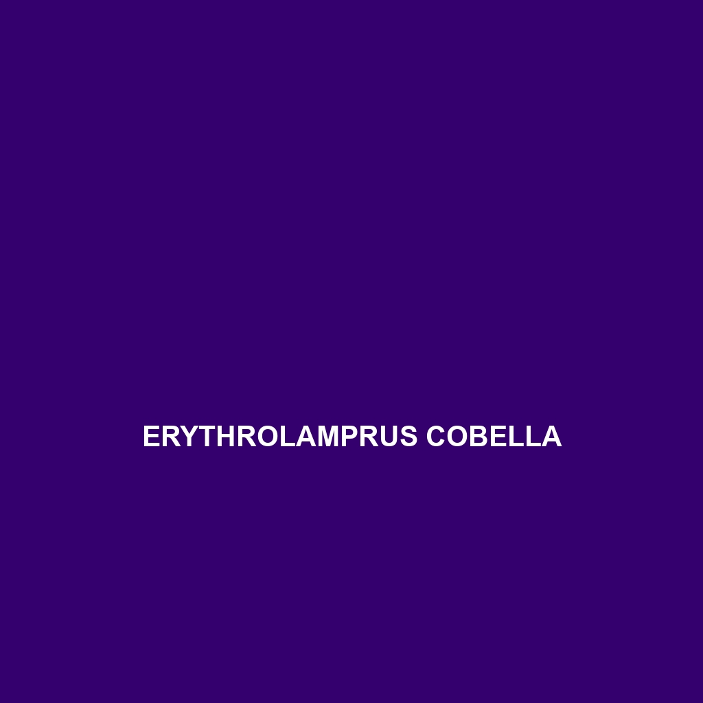 Erythrolamprus cobella