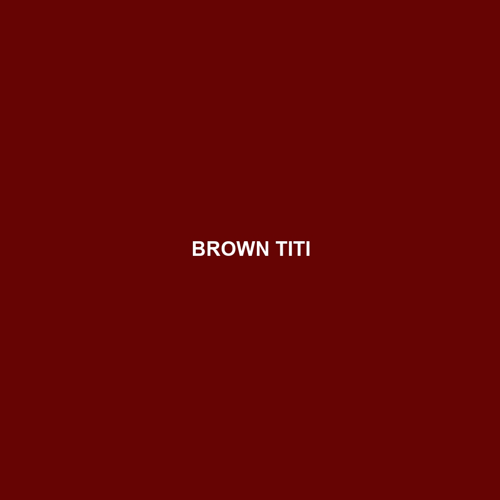 Brown Titi