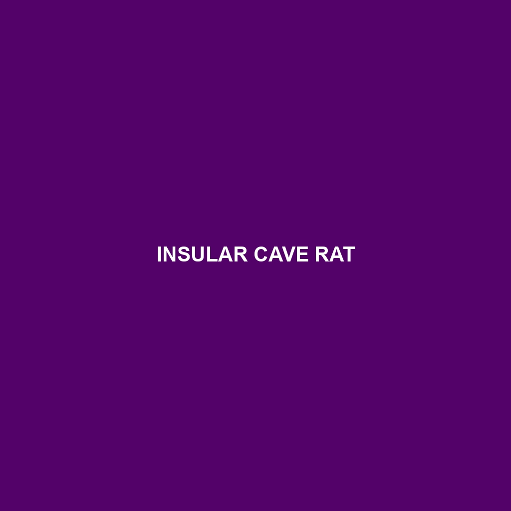 Insular Cave Rat