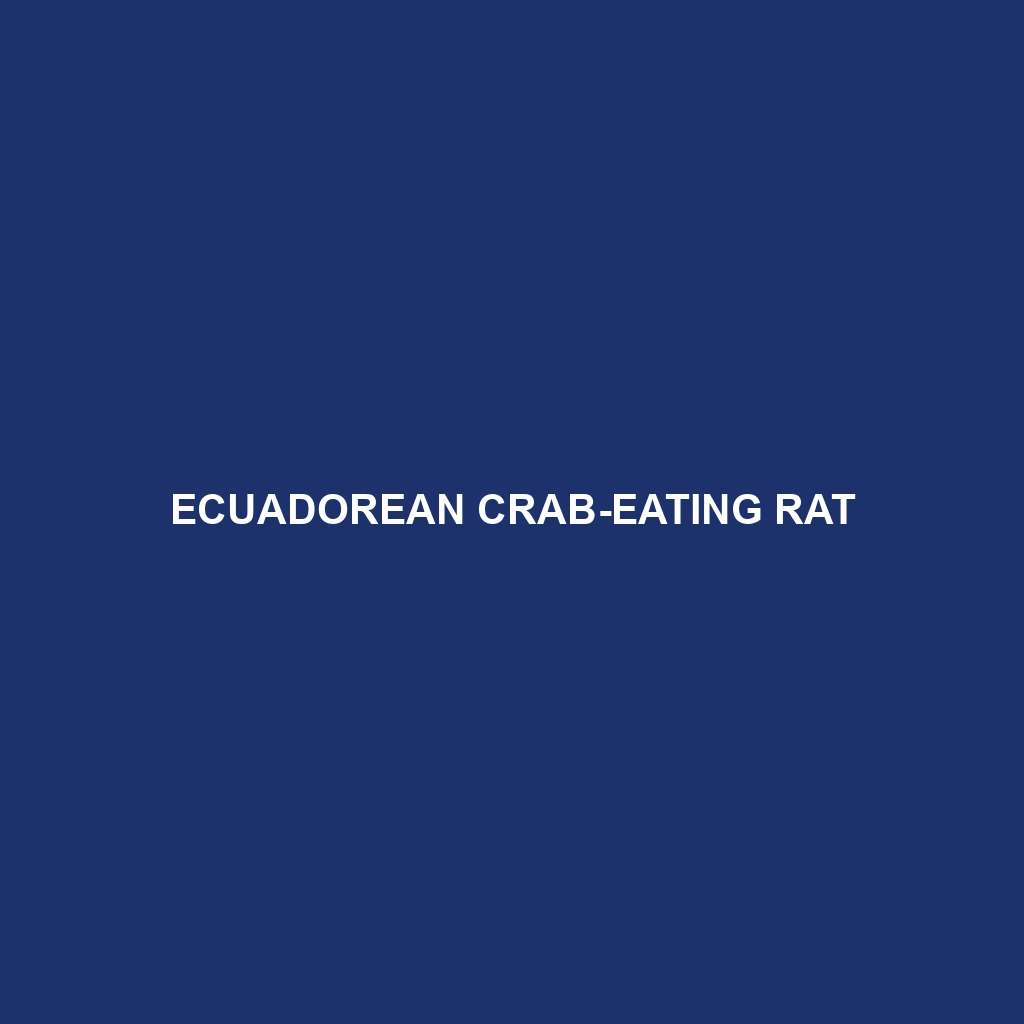 Pine's Crab-eating Rat