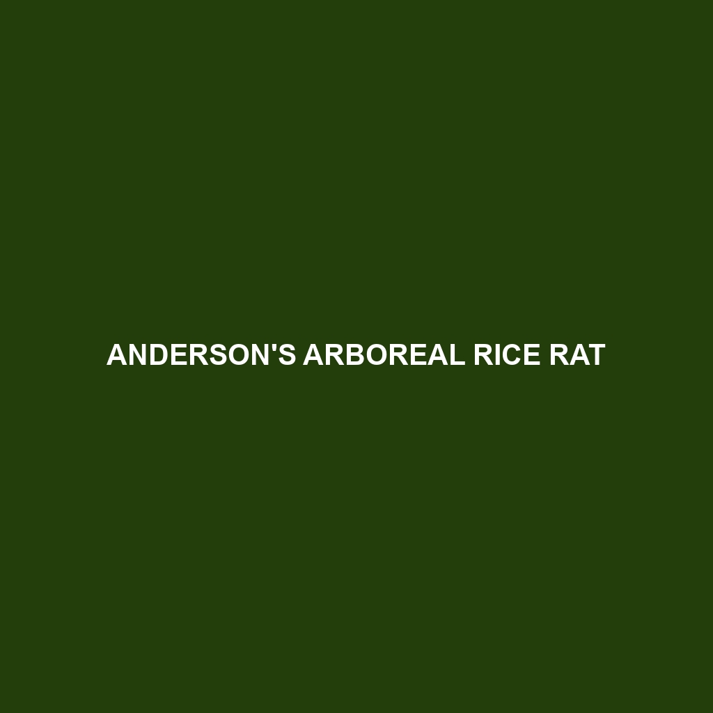 Anderson's Arboreal Rice Rat