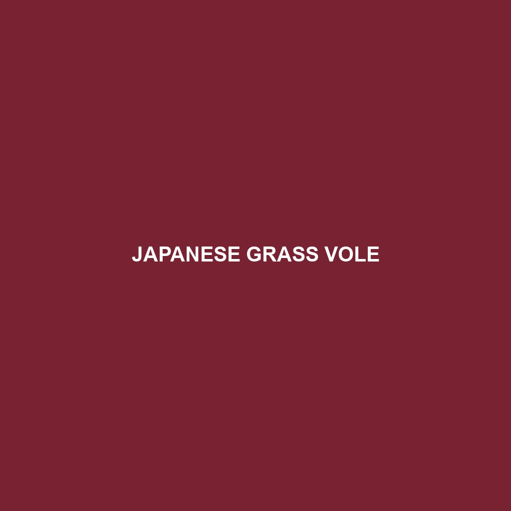 Japanese Grass Vole