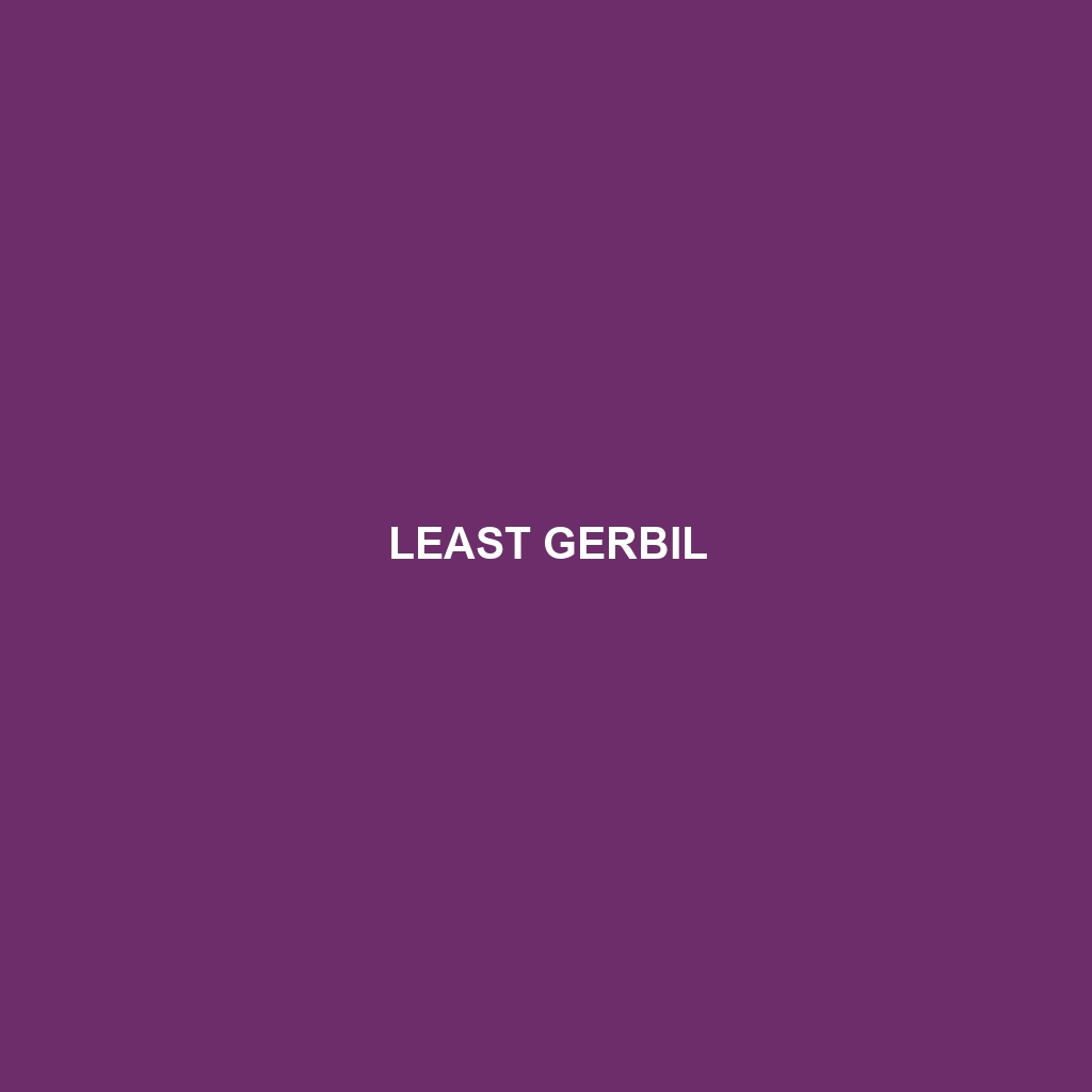 Least Gerbil