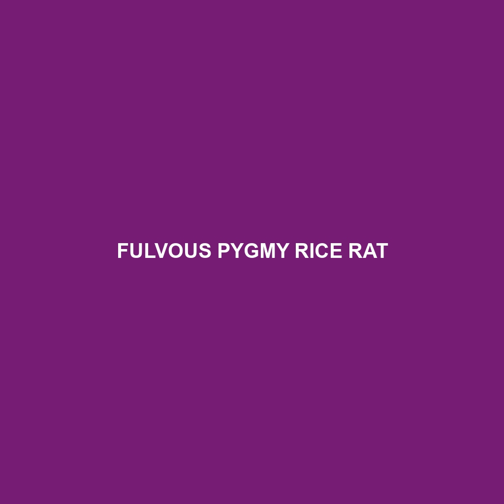 Fulvous Pygmy Rice Rat