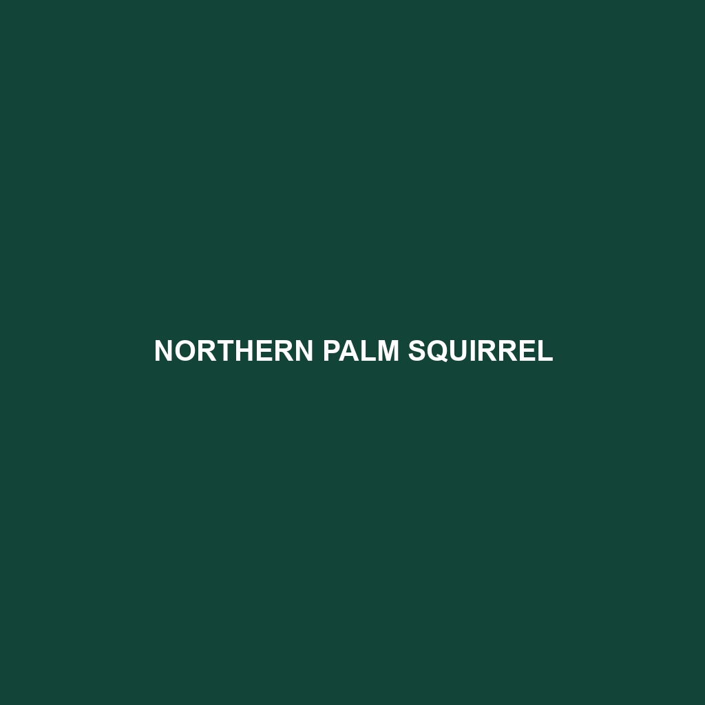 Northern Palm Squirrel