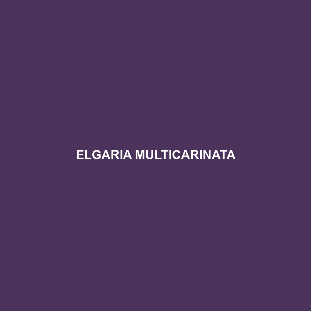 Elgaria multicarinata