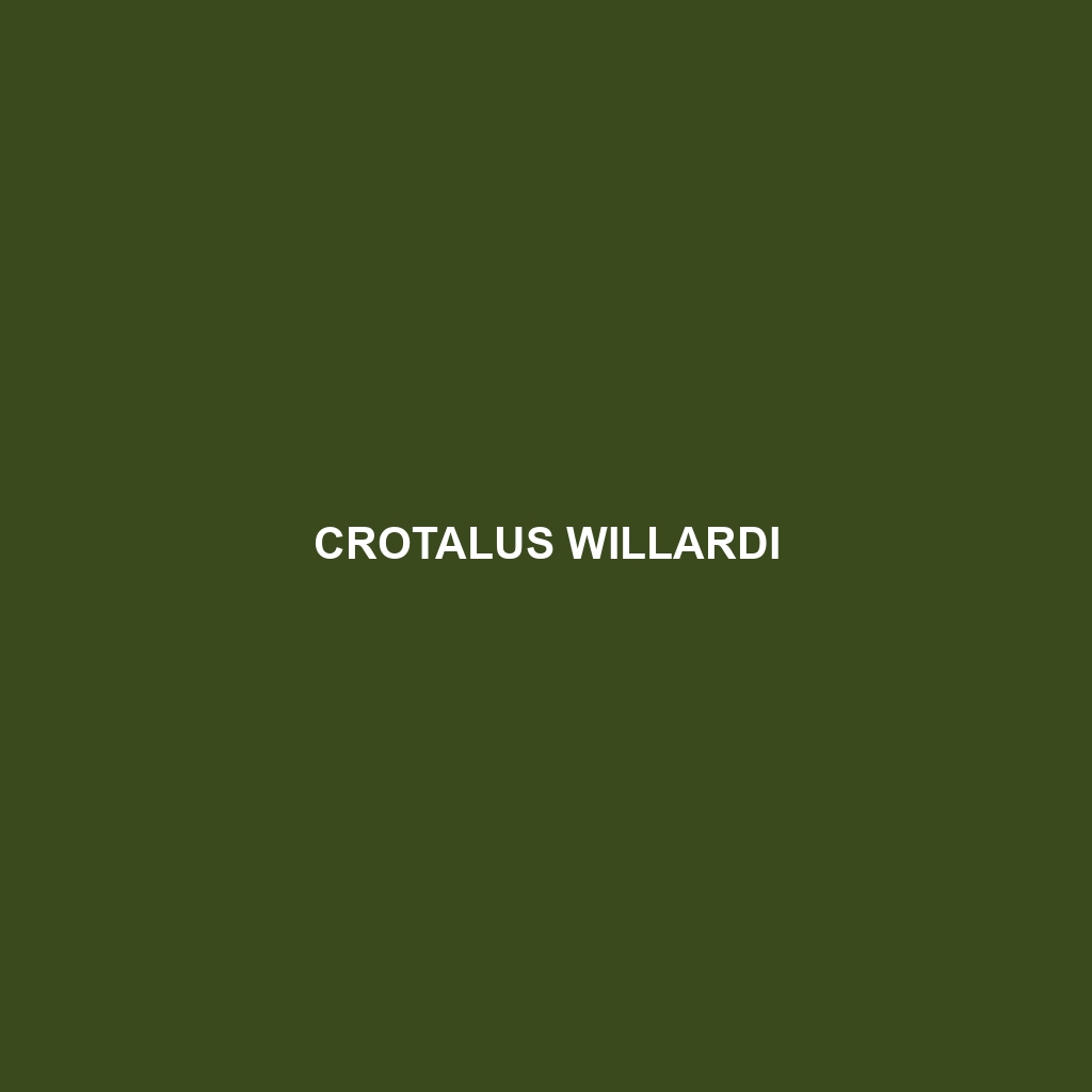 Crotalus willardi