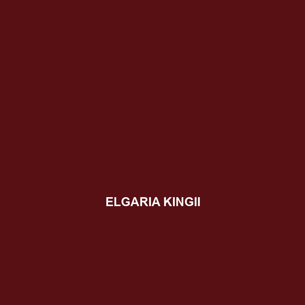 Elgaria kingii