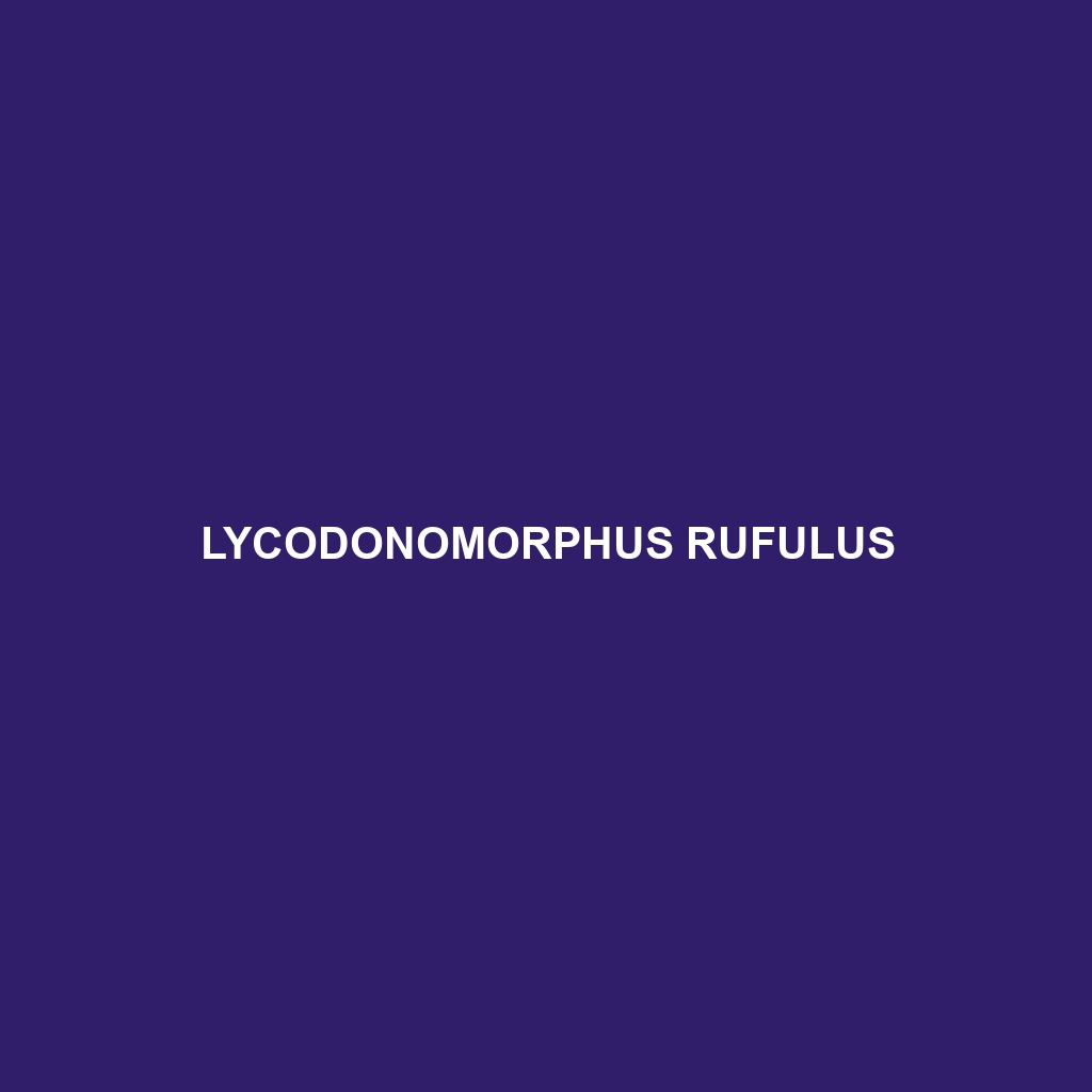 Lycodonomorphus rufulus