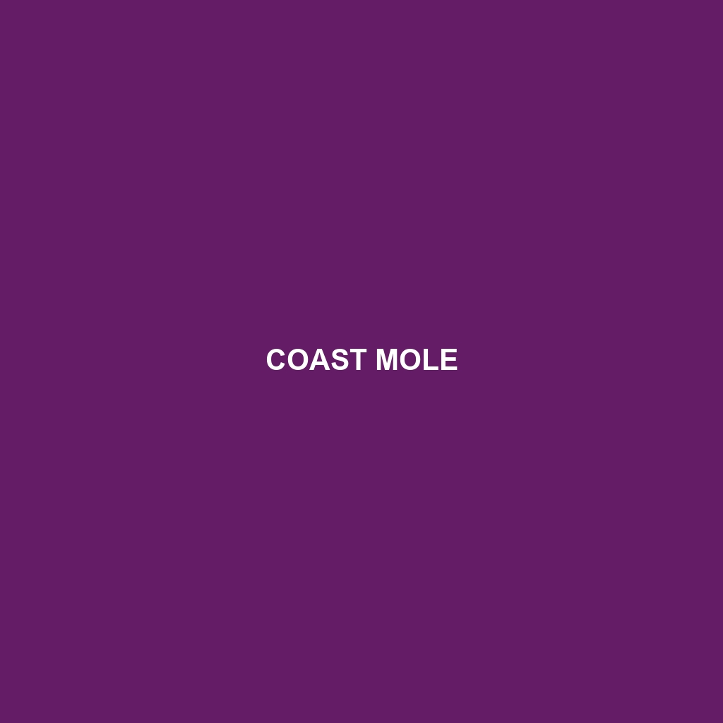 Coast Mole