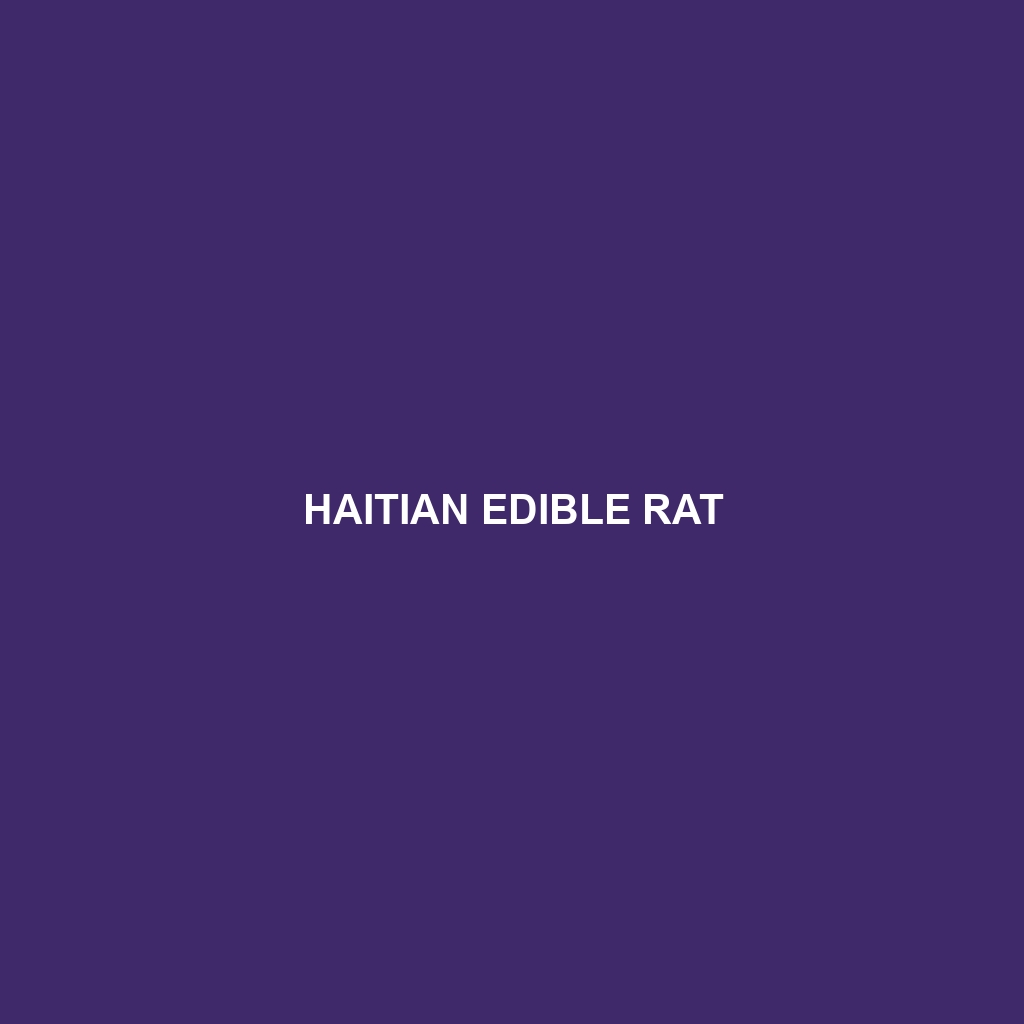 Haitian Edible Rat