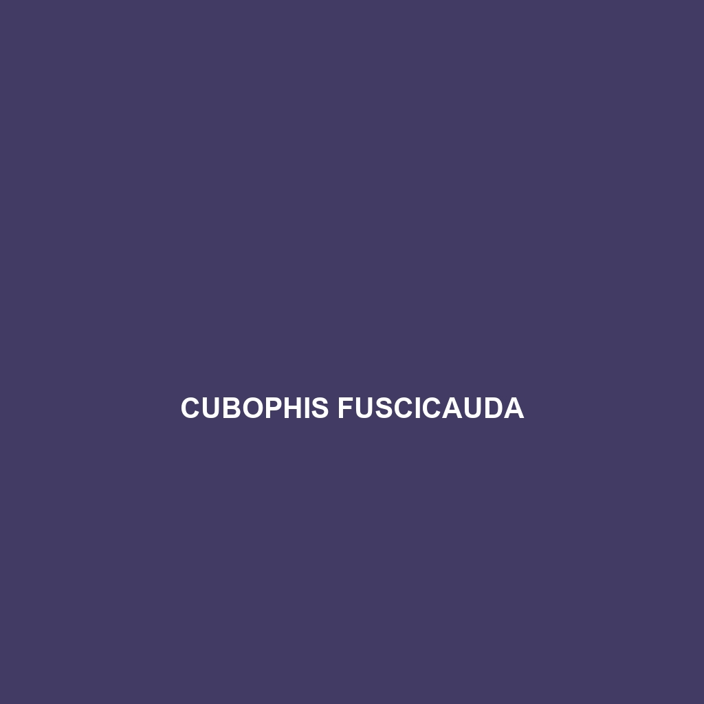 Cubophis fuscicauda