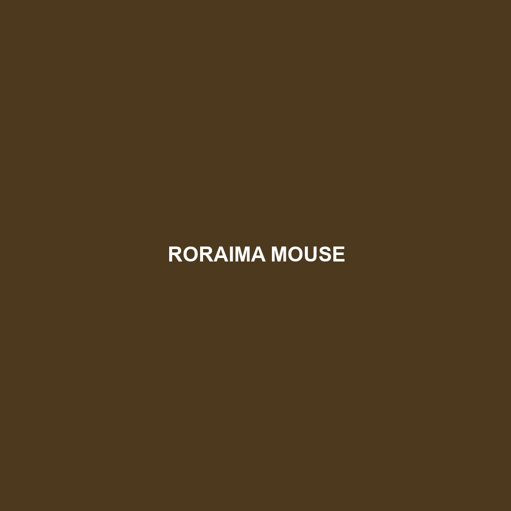 Roraima Mouse