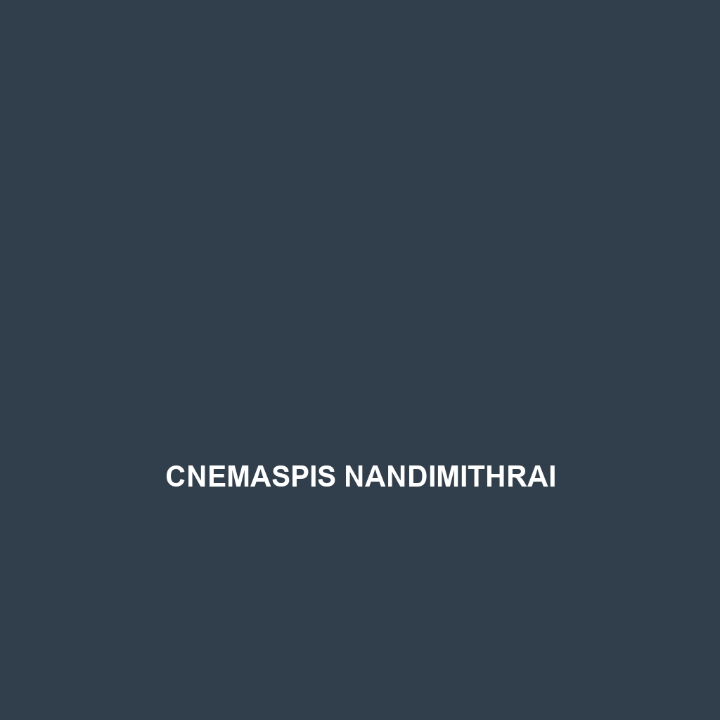 Cnemaspis nandimithrai