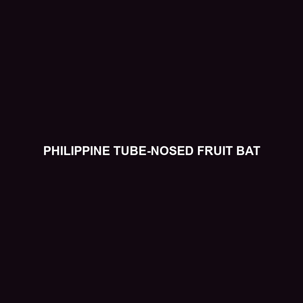 Philippine Tube-nosed Fruit Bat