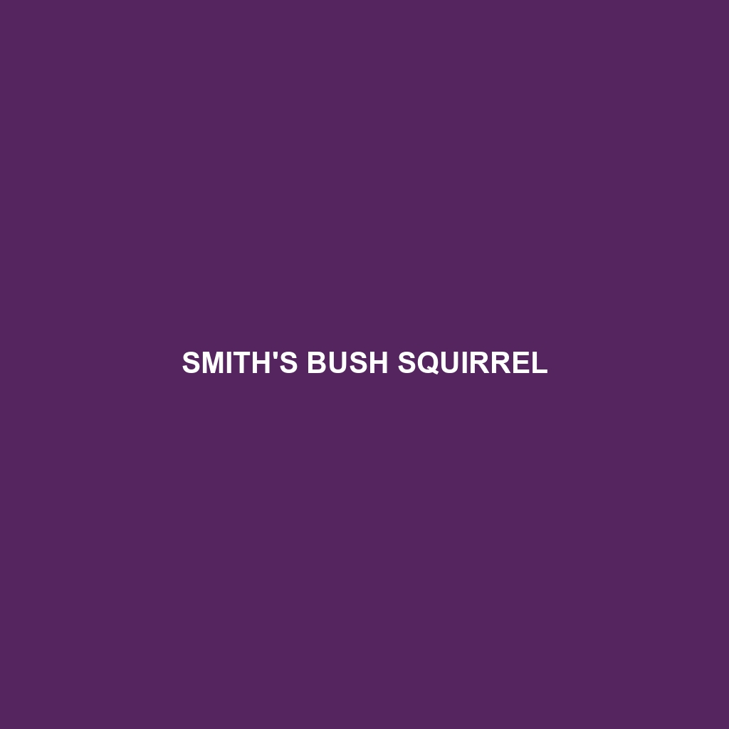 Smith's Bush Squirrel