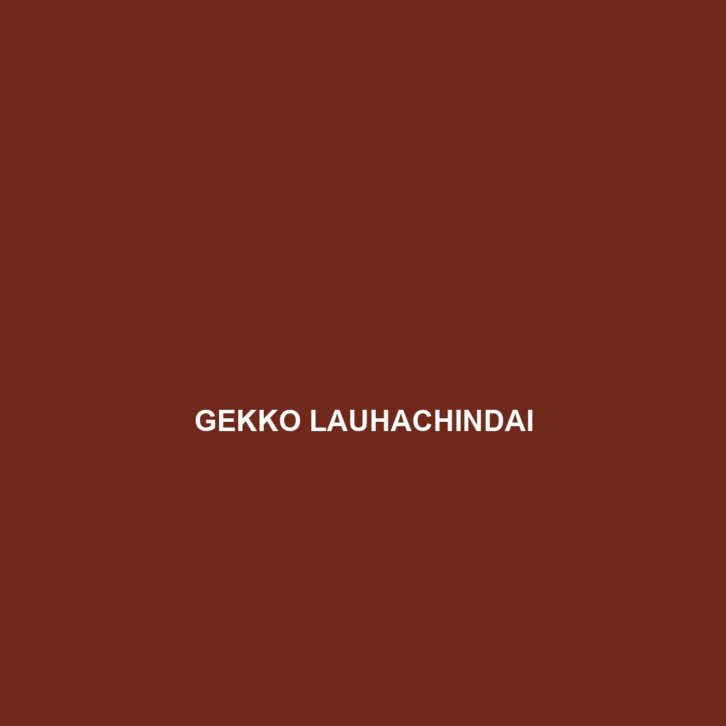 Gekko lauhachindai