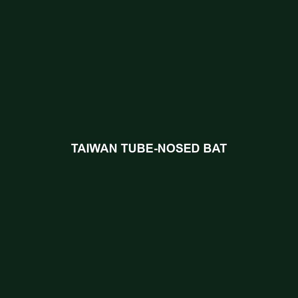 Taiwan Tube-nosed Bat