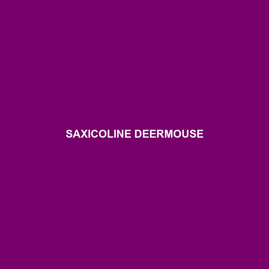 Saxicoline Deermouse