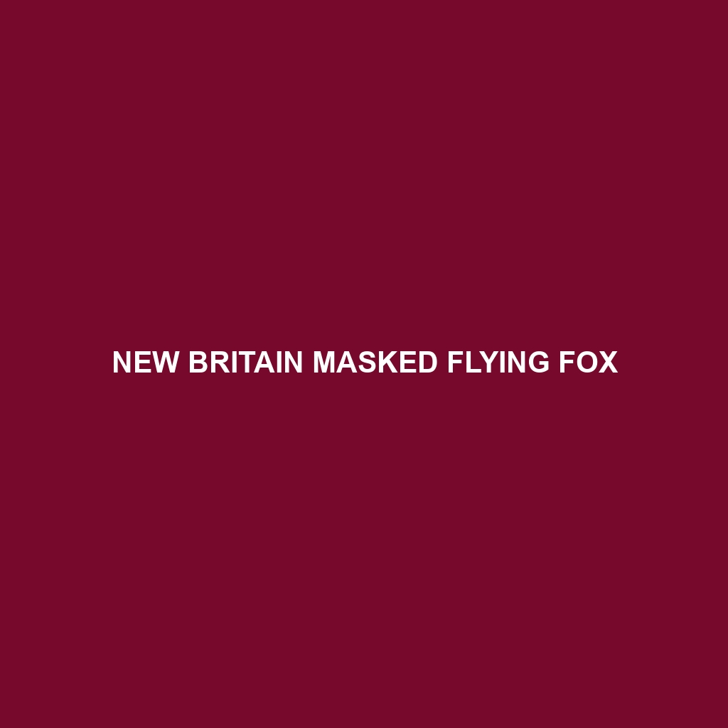 New Britain Masked Flying Fox