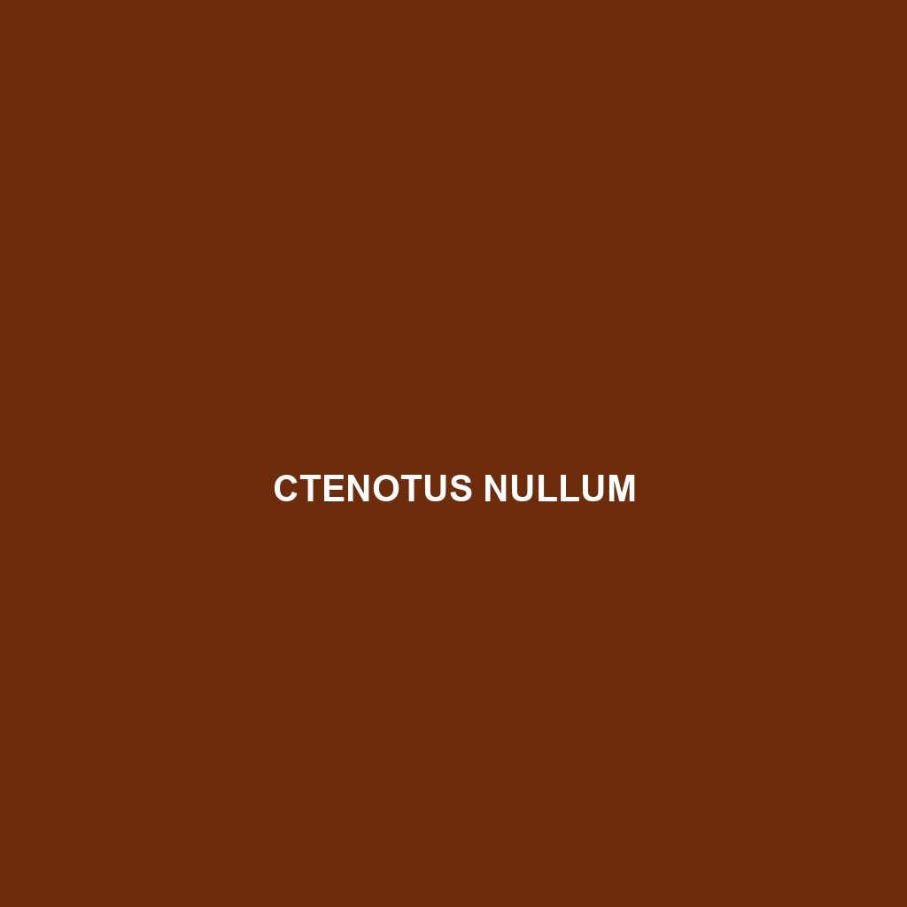 Ctenotus nullum