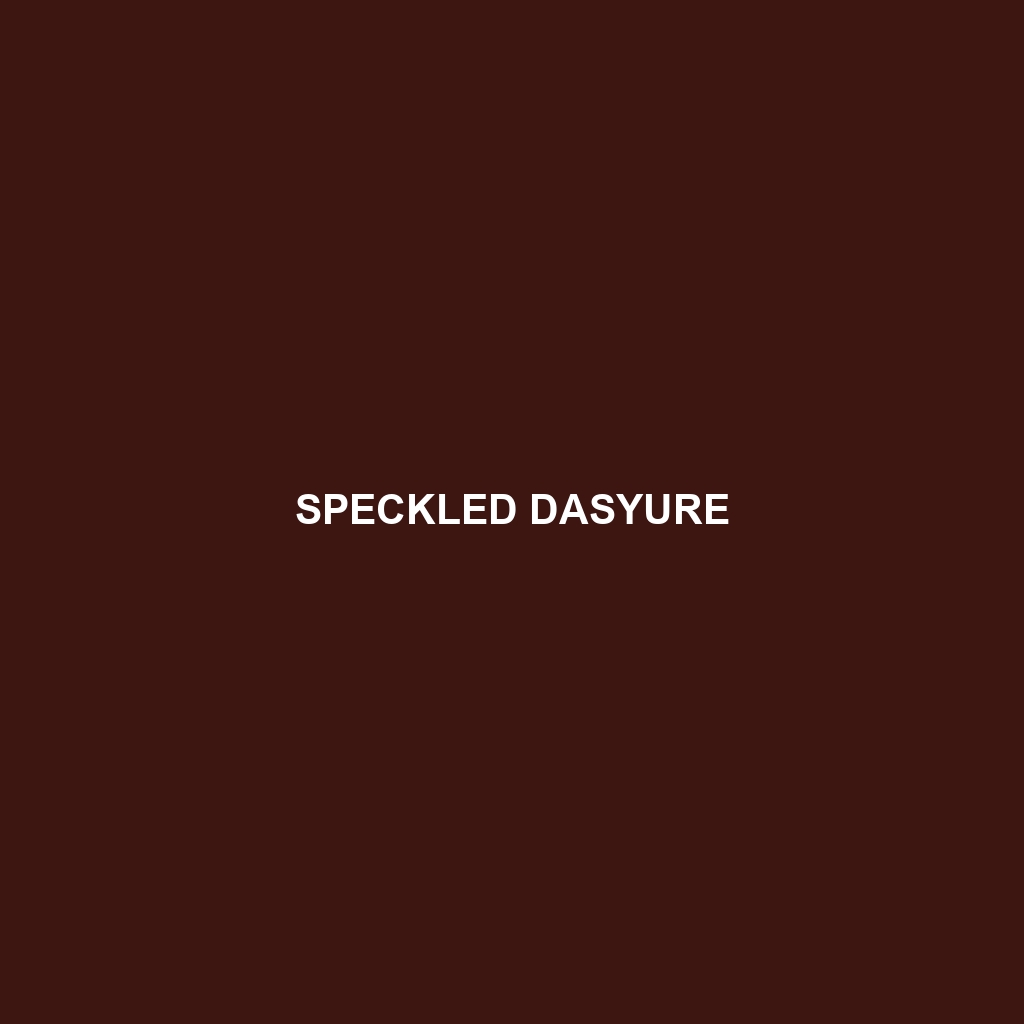 Speckled Dasyure