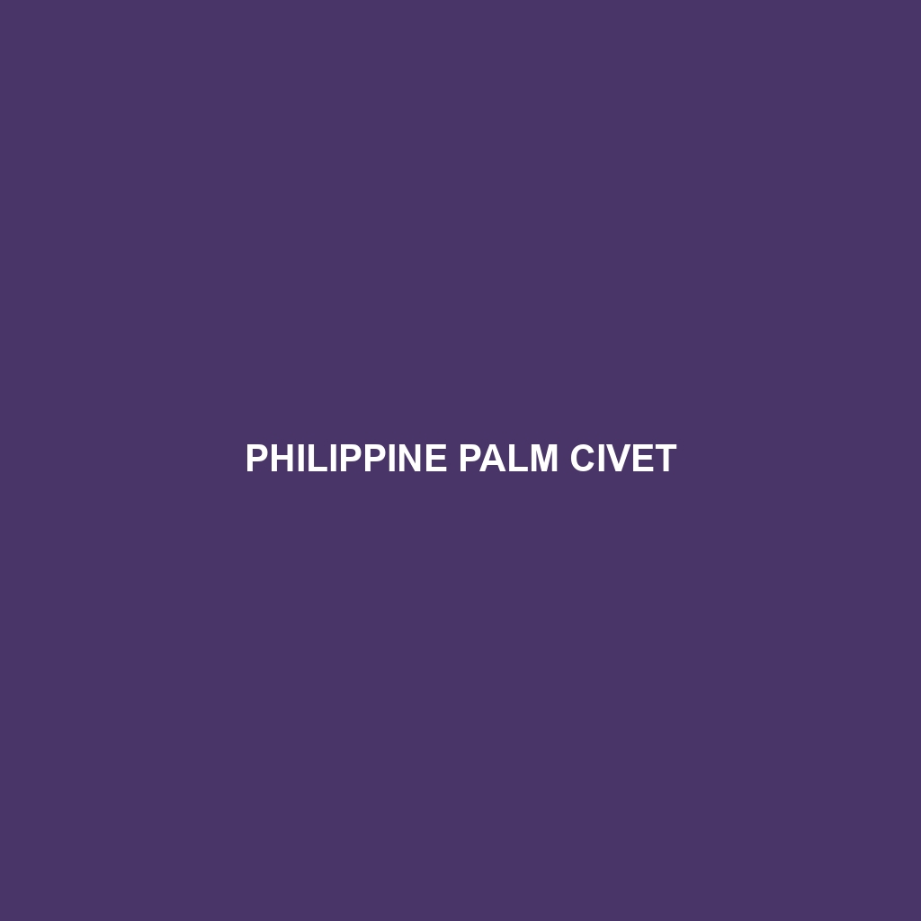 Philippine Palm Civet