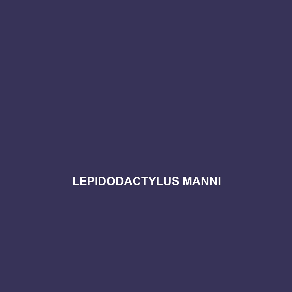 Lepidodactylus manni