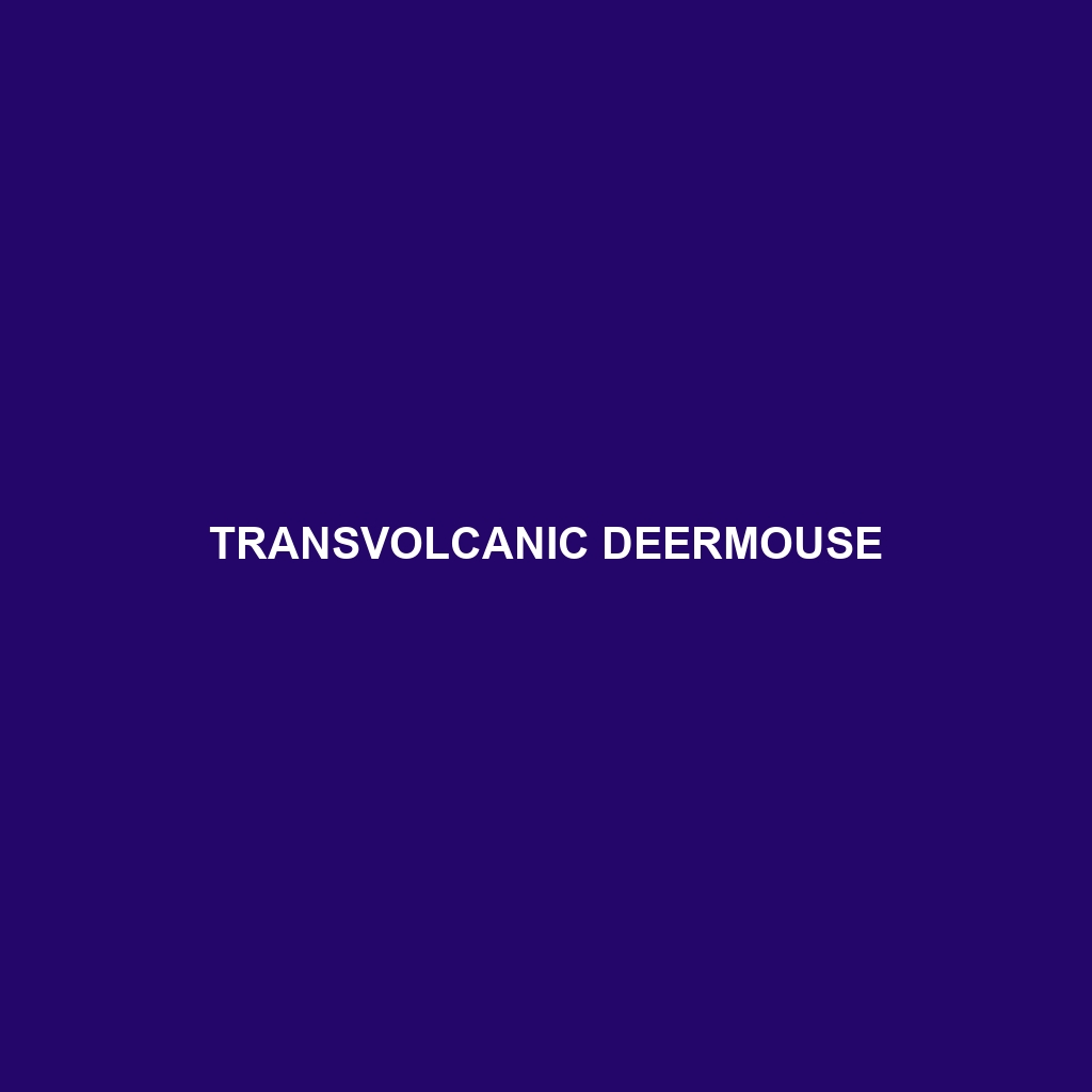 Transvolcanic Deermouse