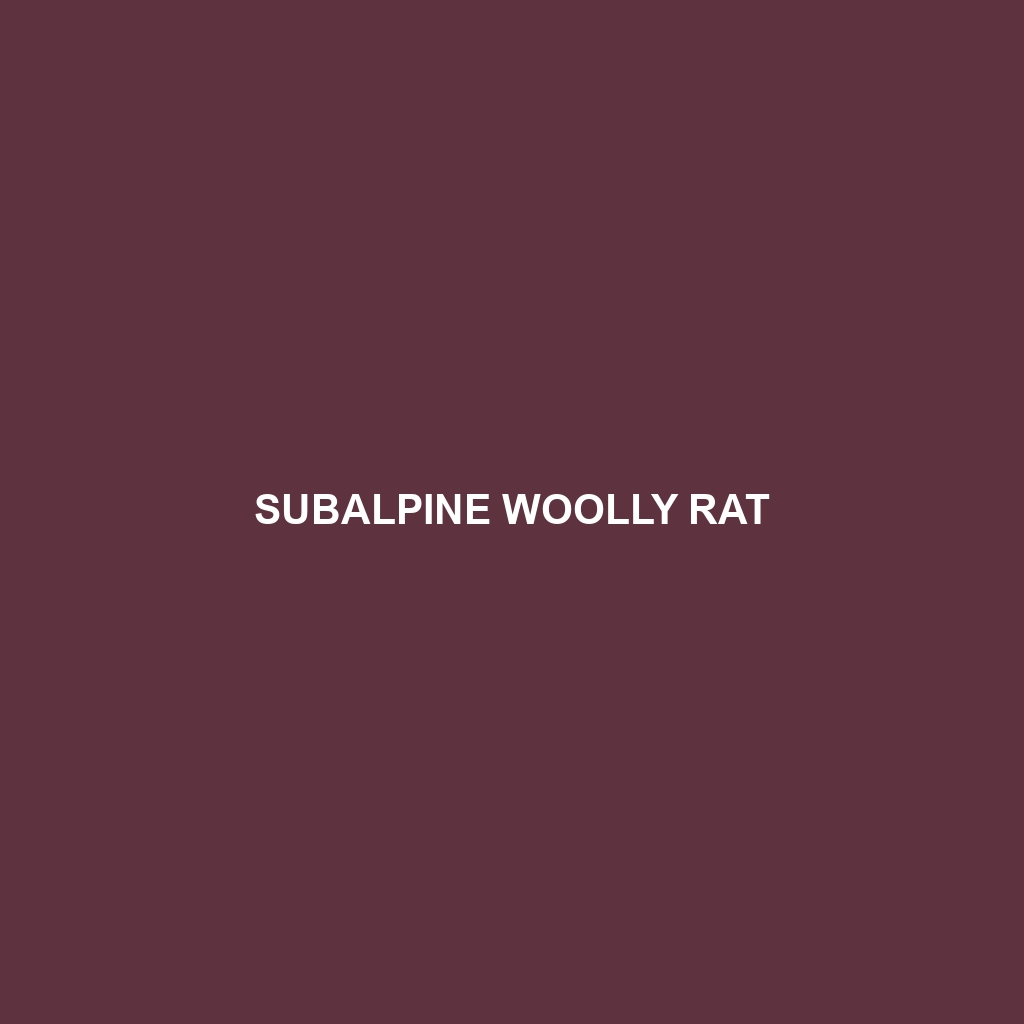 Subalpine Woolly Rat