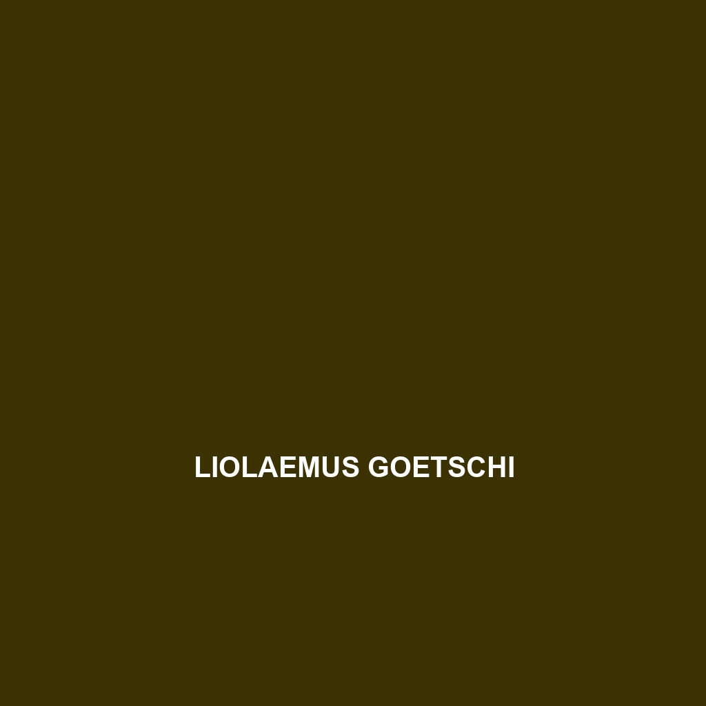 Liolaemus goetschi