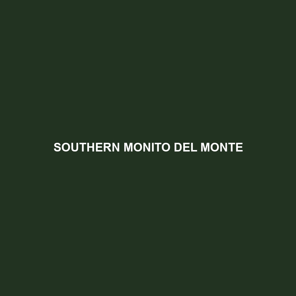 Southern Monito del Monte