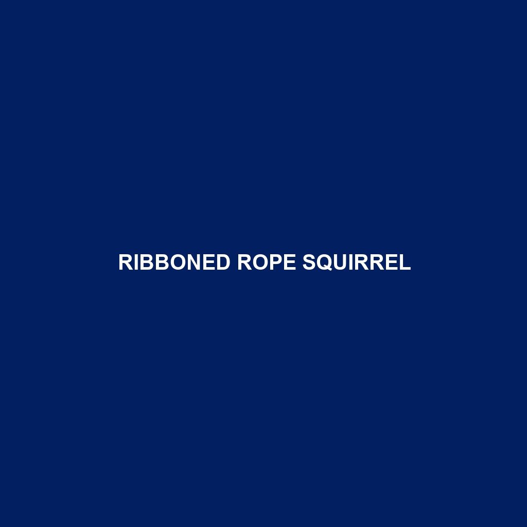 Ribboned Rope Squirrel