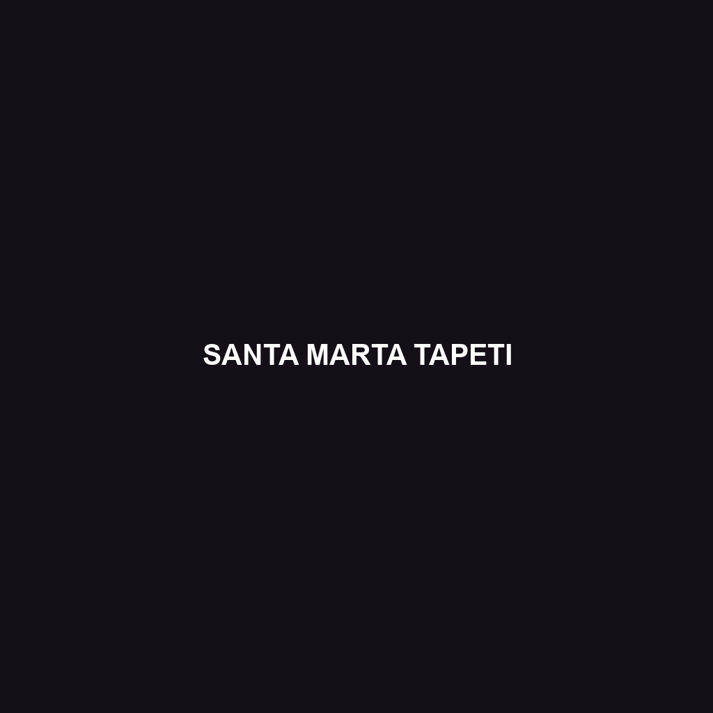 Santa Marta Tapeti