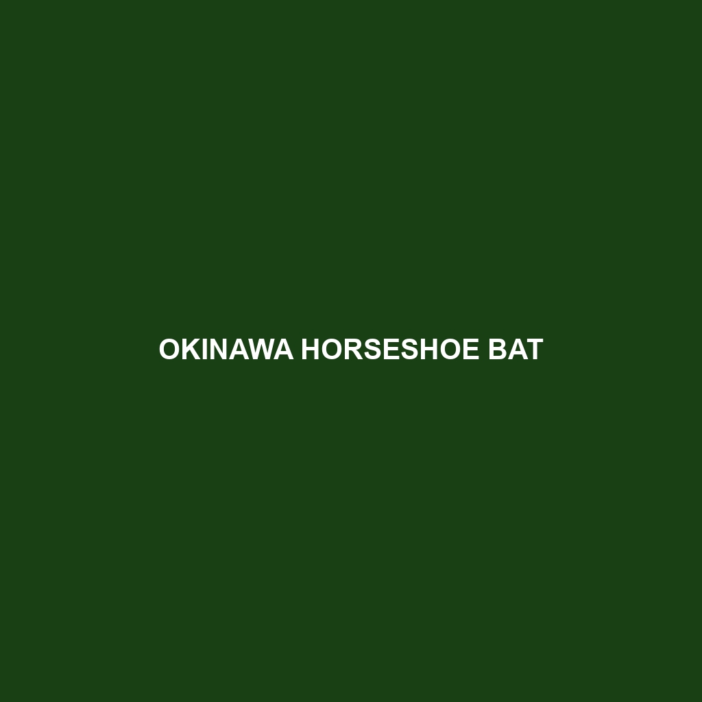 Okinawa Horseshoe Bat