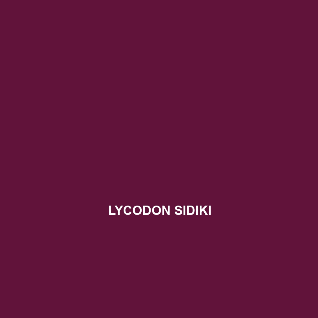 Lycodon sidiki