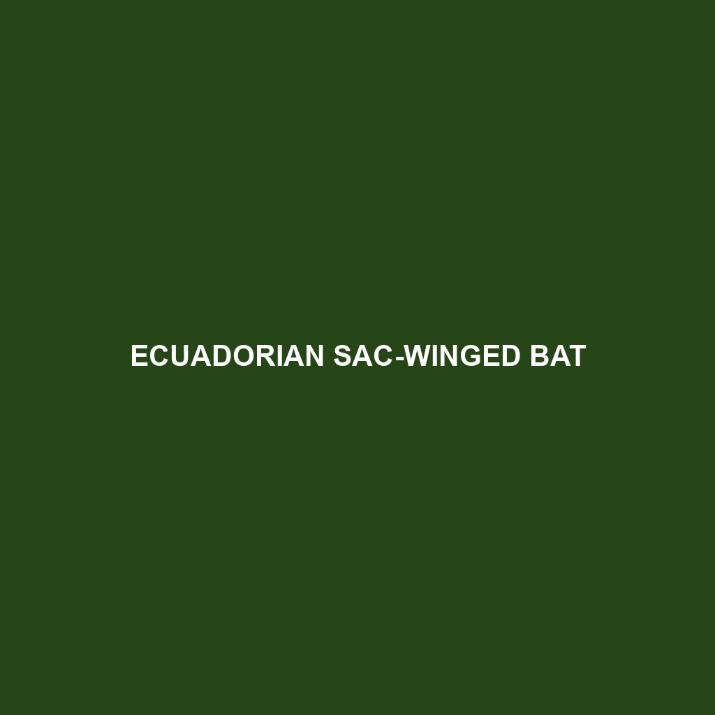 Ecuadorian Sac-winged Bat