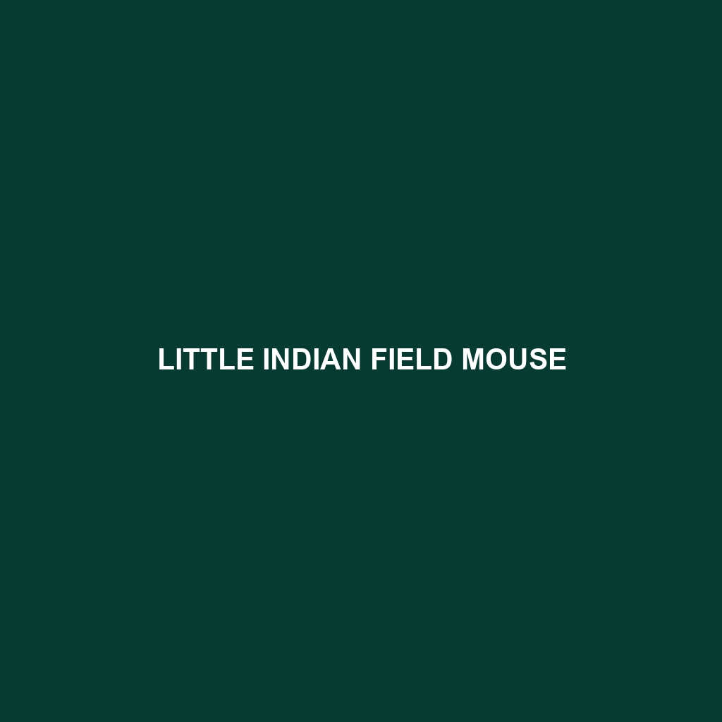 Little Indian Field Mouse