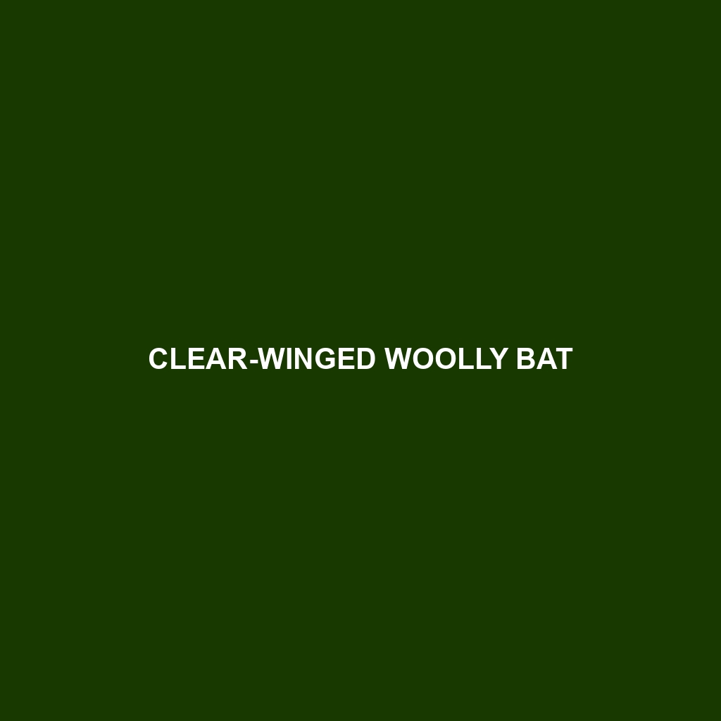 Clear-winged Woolly Bat