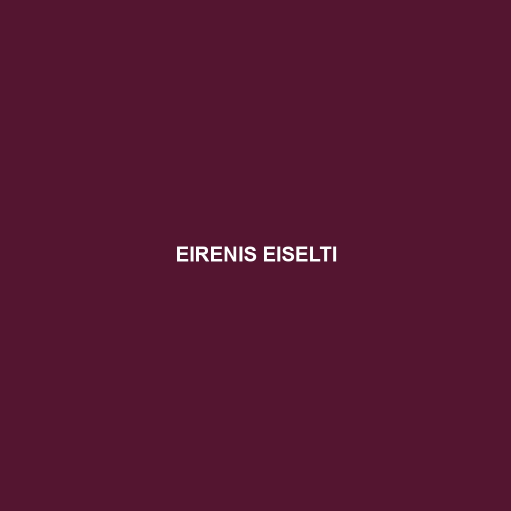 Eirenis eiselti