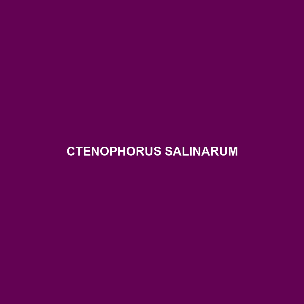 Ctenophorus salinarum